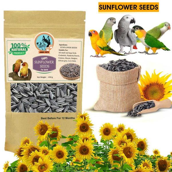 Premium Sunflower Seed for Lovebirds, Cockatiels, Conures, African Grey, Macaws, Cockatoo, Parakeets & Parrots for All Life Stages